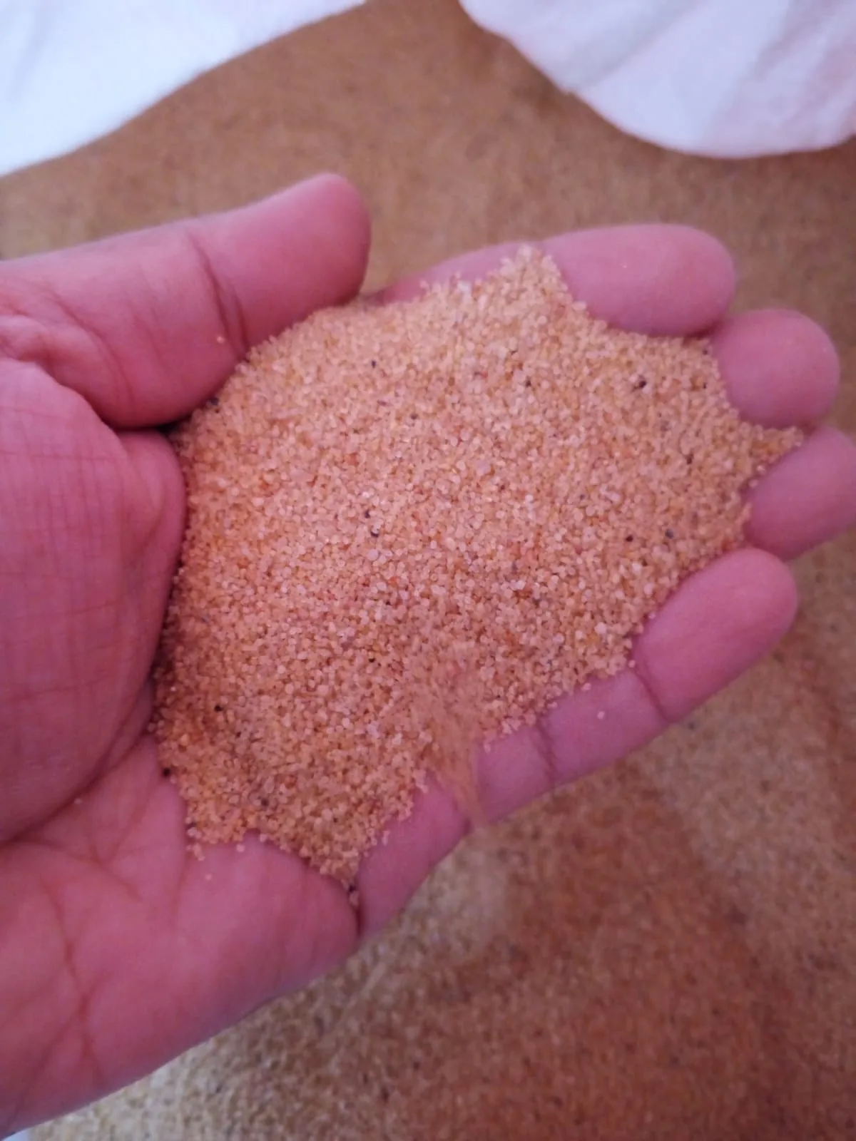 Hand sample of industrial sand
